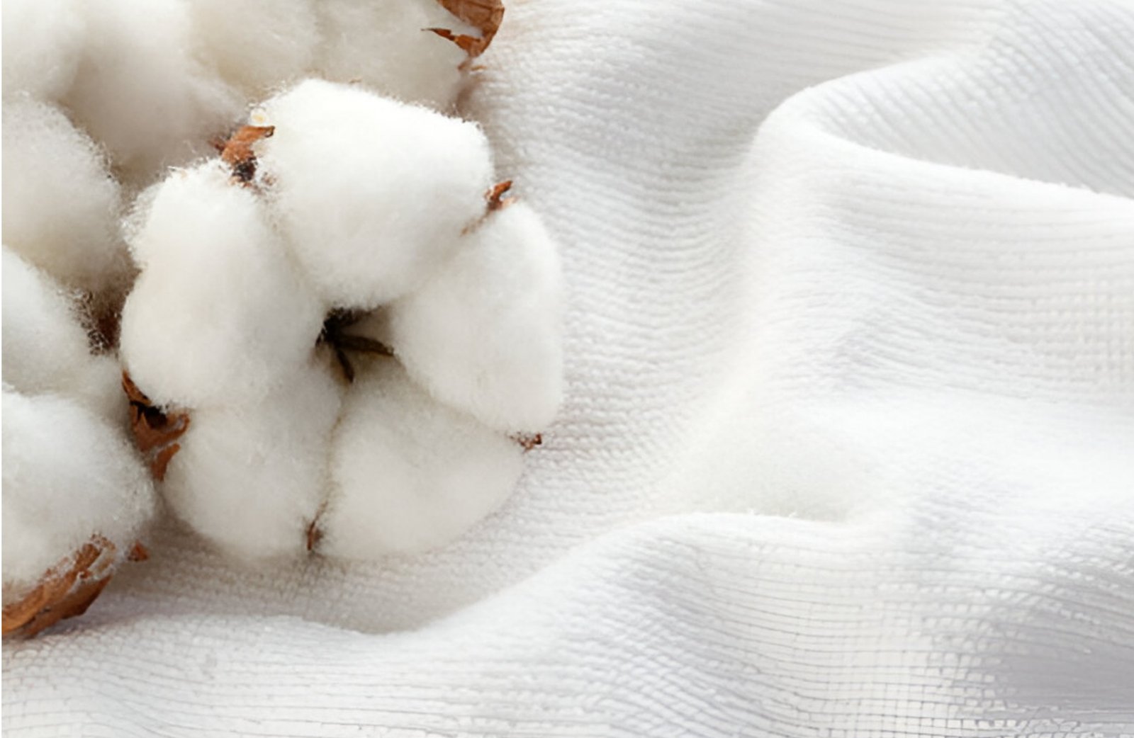 Cotton material